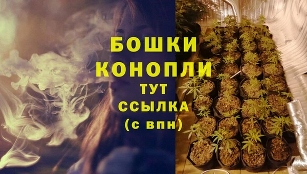 эйфоретик Беломорск