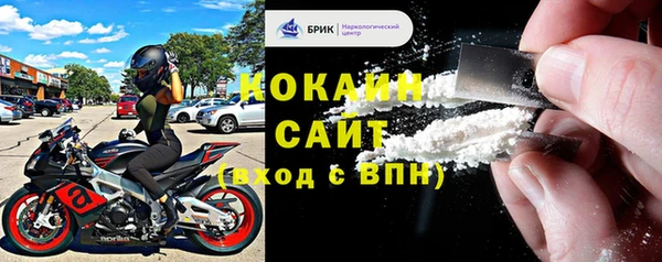 apvp Богородицк