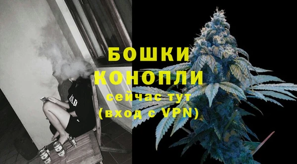твердый Богородск
